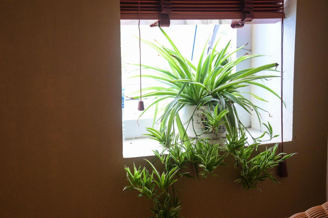 Ahoj Guest House Hạ Long Extérieur photo
